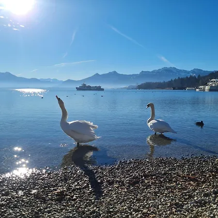 Chiemseeoase Apartman